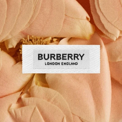 livestream bộ sưu tập burberry thu đông 2020
