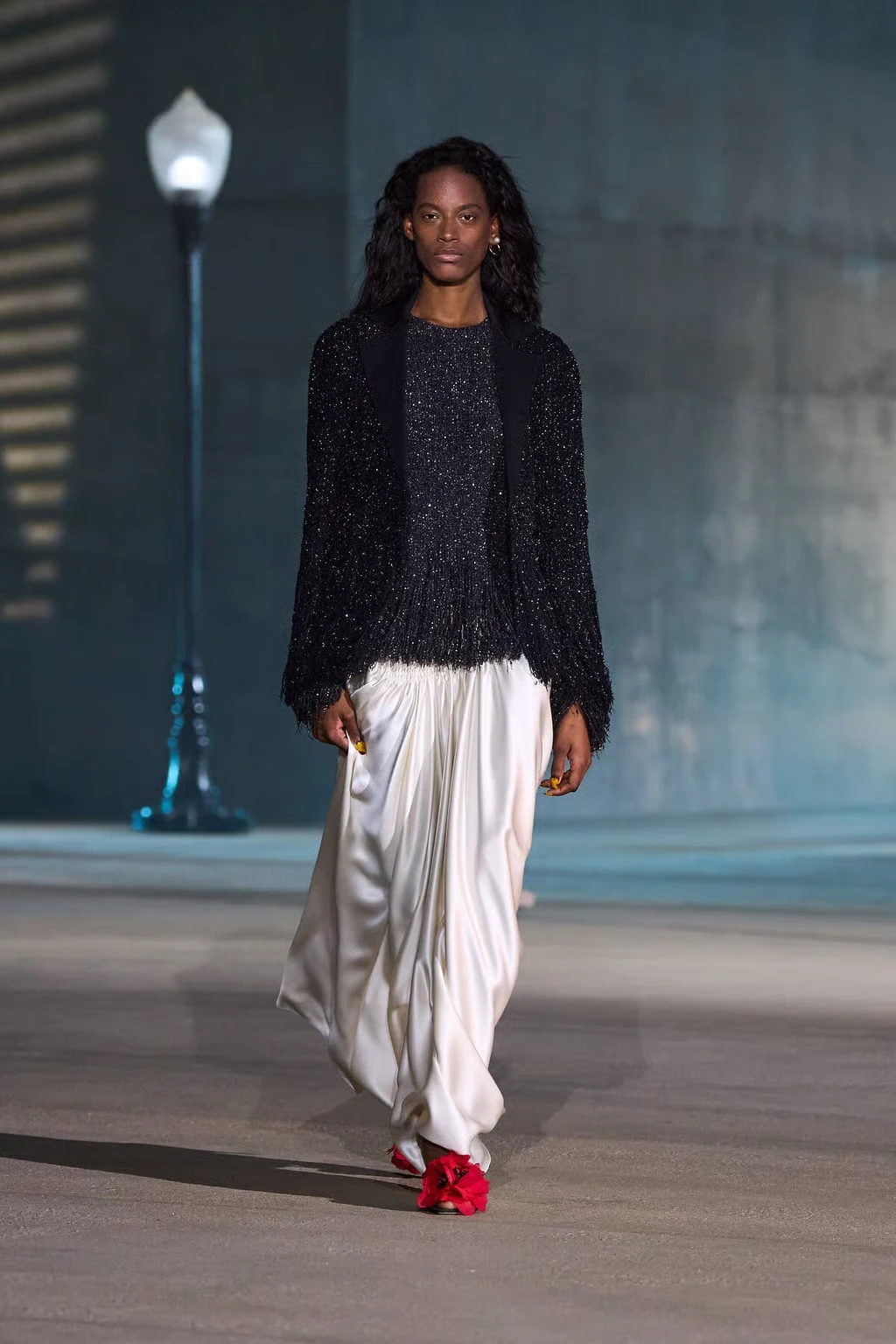 Dior Cruise 2027