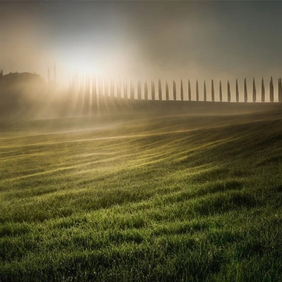 Tác phẩm nhiếp ảnh đạt giải 17