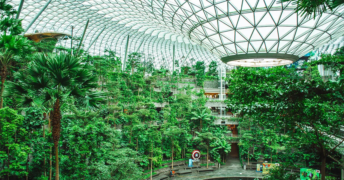 Khung cảnh khu vườn sân bay Changi Singapore