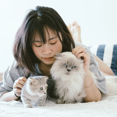 hoạt động giúp cải thiện sức khỏe tinh thần