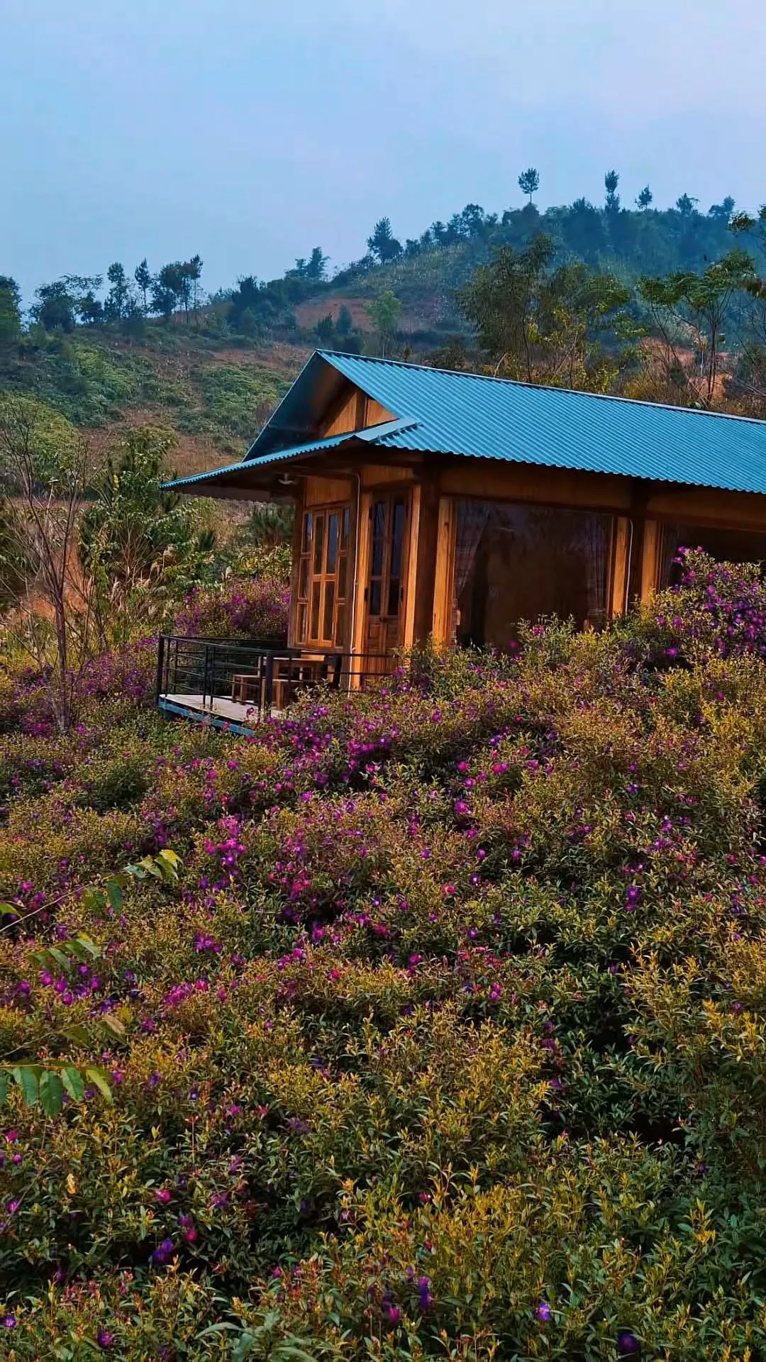 Blue Home Mù Cang Chải