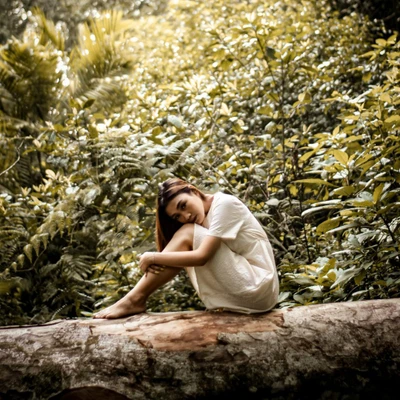 cô gái ngồi trên thân cây tử vi ngày 30/4/2026