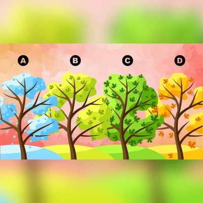 trắc nghiệm chọn màu yêu thích trong năm
