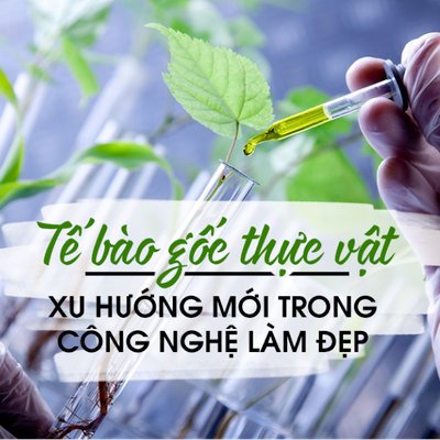 Dưỡng dài mi bằng huyết thanh, xu hướng làm đẹp mới trên toàn cầu