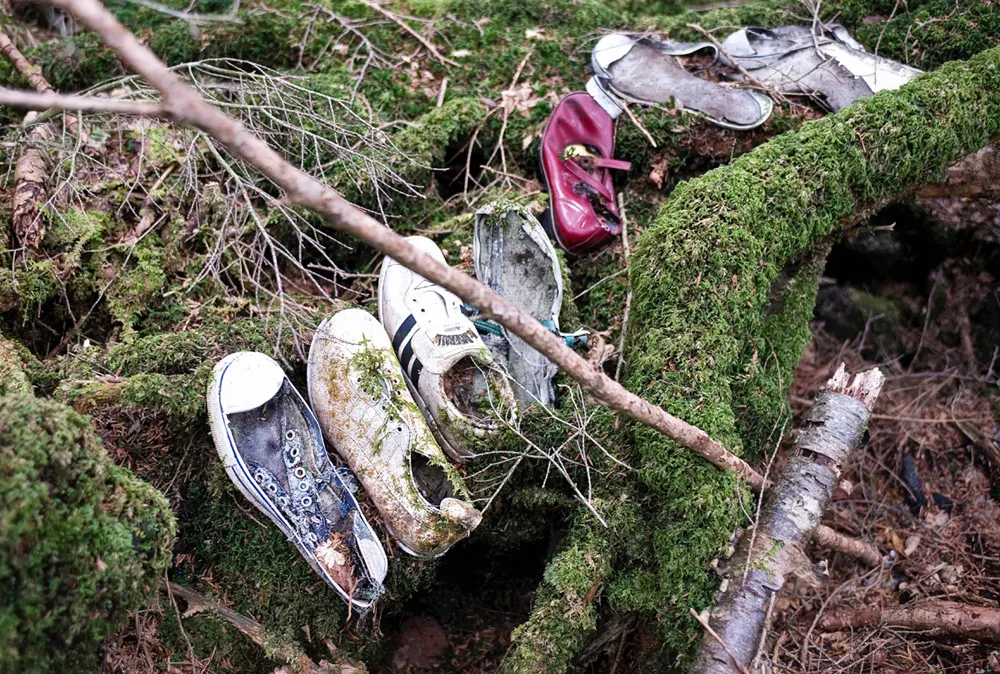 van-hoa-nhat-ban-suicide-forest-elle-viet-nam