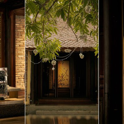 mai lâm với tác phẩm nghệ thuật rừng mai