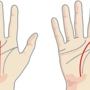 ý nghĩa đường chỉ tay sự nghiệp