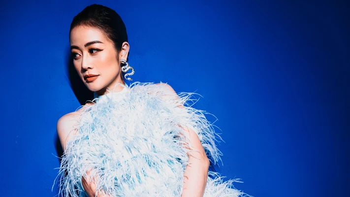gia đình và công việc đối với mc Phí Linh