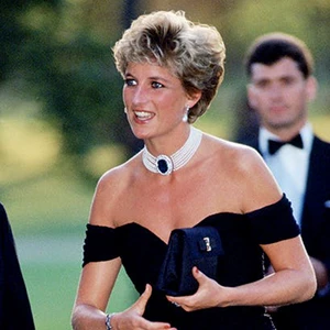 diana cleavage bag