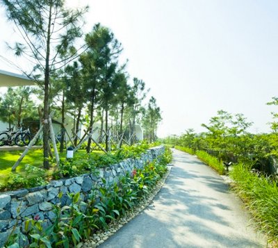 Flamingo – Vương quốc hoa hồng quý đầu tiên tại Việt Nam