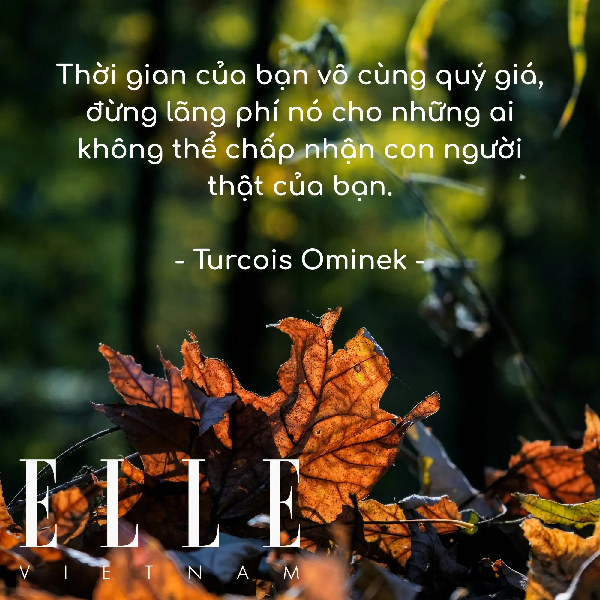 câu nói hay truyền động lực của Turcois Ominek, tác giả người Mỹ.