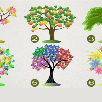 trắc nghiệm chọn cây