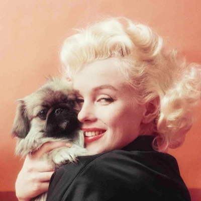 phụ nữ làm đẹp vì ai marilyn