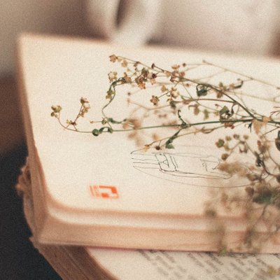 nhũng từ ngữ có ý nghĩa xinh đẹp trên thế giới