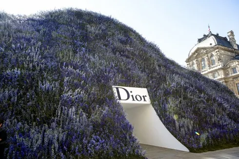 Một đồi hoa phi yến xanh đầy mộng mơ – ngự trị giữa khoảng sân của Carré du Louvre. 