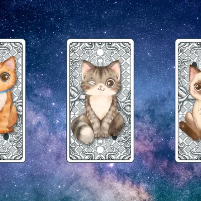 trải bài tarot