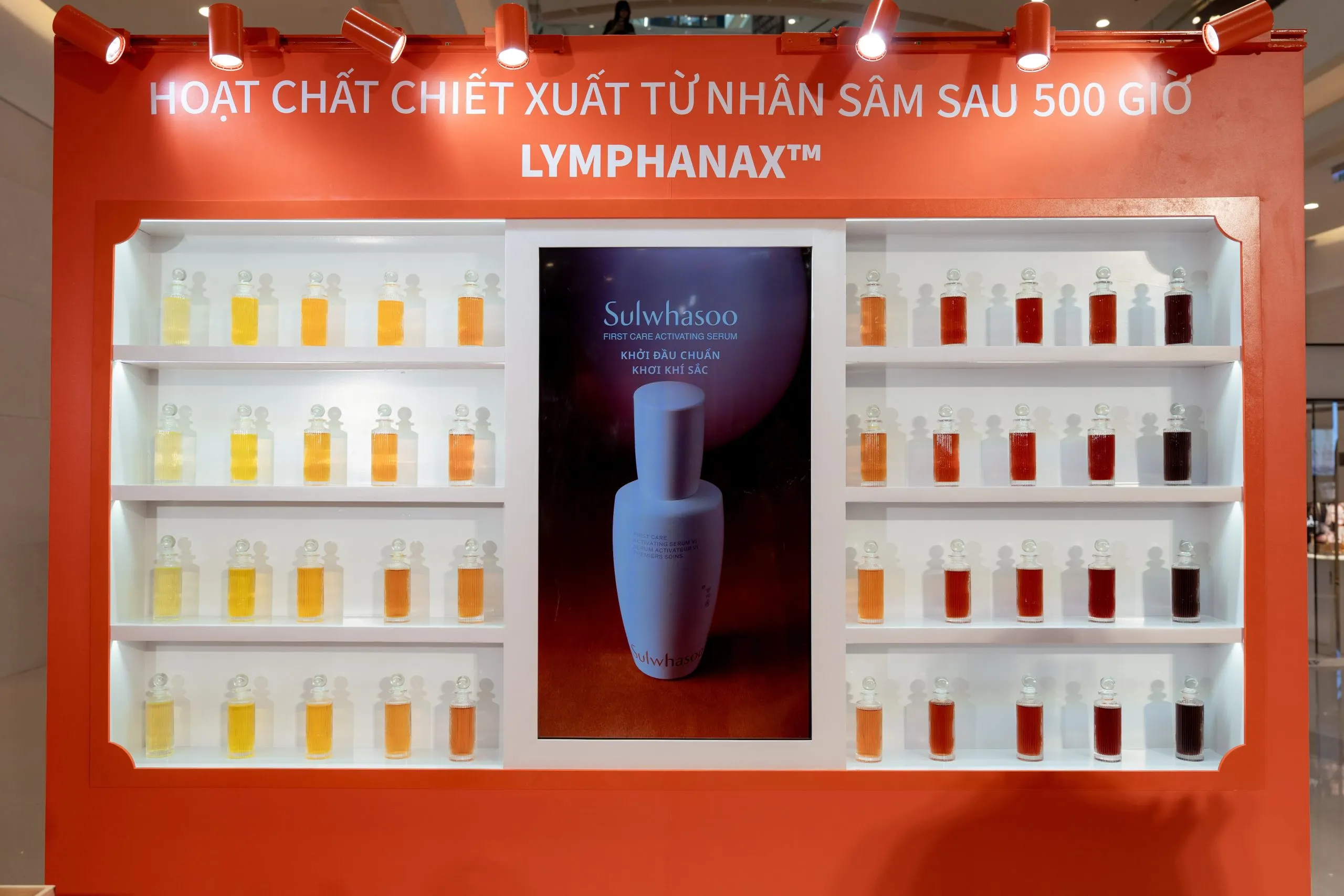 nơi trưng bày chiết xuất nhân sâm sulwhasoo