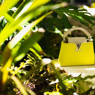 Louis Vuitton Capucines màu Neon