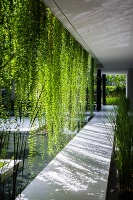 Nghỉ dưỡng xanh: Trào lưu nhất thời hay thái độ sống bền vững? - 01