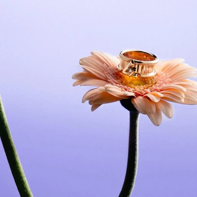 nguồn gốc truyền thống đeo nhẫn cưới