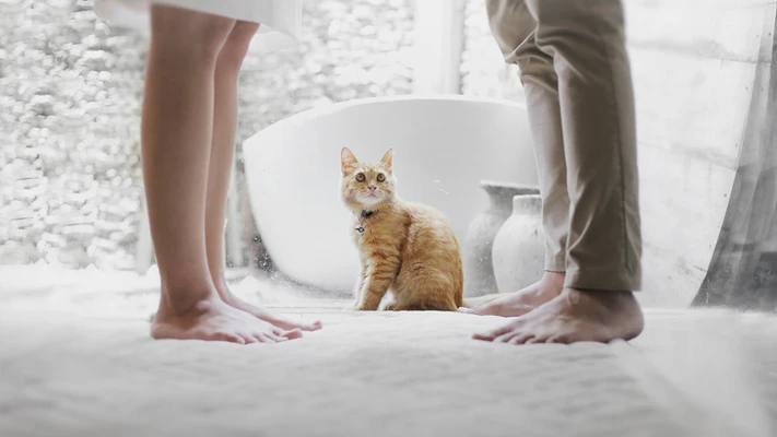 dấu hiệu chàng trai không thích kết hôn 0