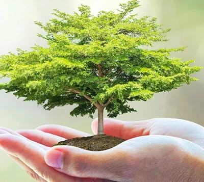 10 "việc nhỏ mình làm" để bảo vệ môi trường