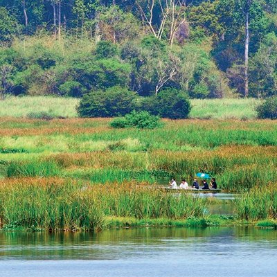 tự nhiên trở về với núi rừng