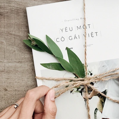 gái Việt 3