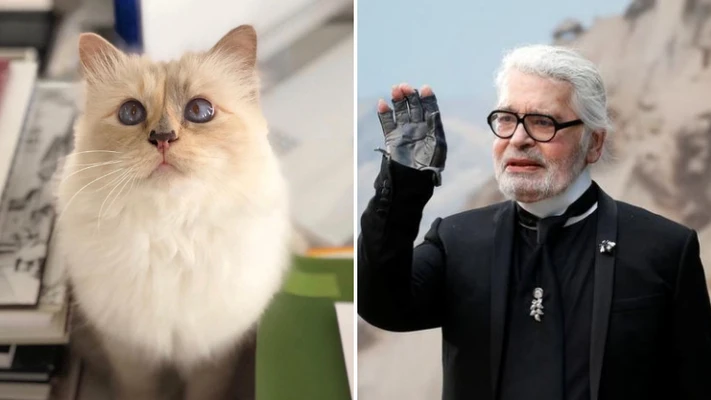 Nàng mèo Choupette 