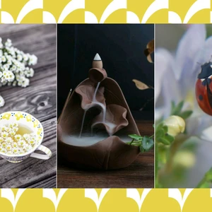 vật dụng trang trí may mắn cho không gian sống