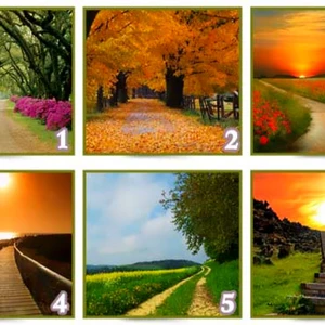 trắc nghiệm ý nghĩa con đường