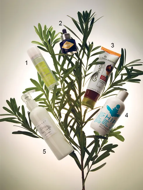 1. Nước xịt làm dịu da Angelica L'Occitane 420.000 VNĐ 2. Serum chống lão hóa Immortelle L'Occitane 1.600.000 VNĐ 3. Tẩy tế bào chết Yves Rocher 4. Mặt nạ dưỡng tóc Hip 760.000 VNĐ 5. Sữa dưỡng thể Nougat