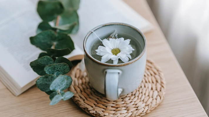 thảo mộc xoa dịu nỗi lo mất ngủ