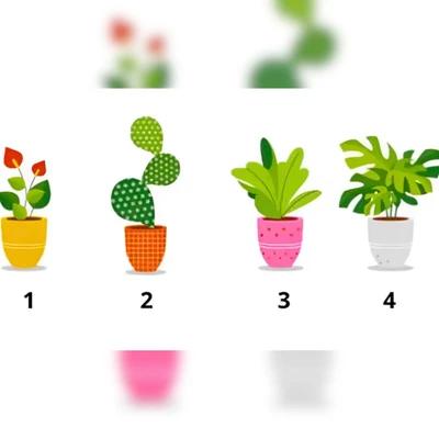 Trắc nghiệm Tuổi tâm hồn