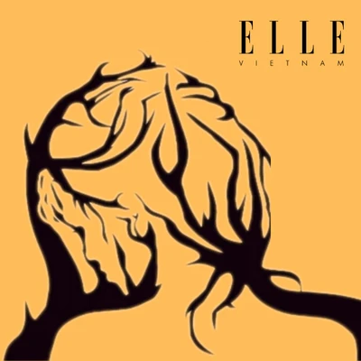 trắc nghiệm hình ảnh elle