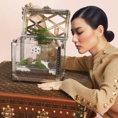 Cô gái MBTI mở hộp kính có chứa cây thủy sinh