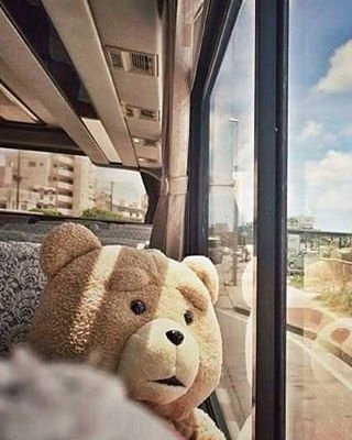 Trào lưu du lịch với thú bông