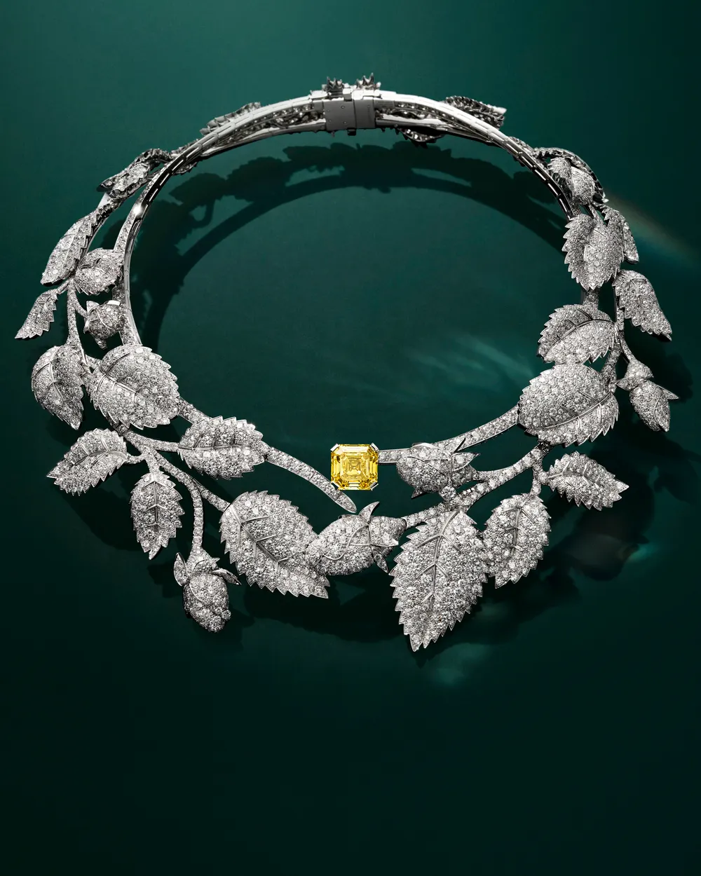 Vương miện Hoa Hồng Dại (Wild Rose)