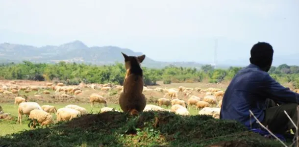 Du lịch Phan Rang