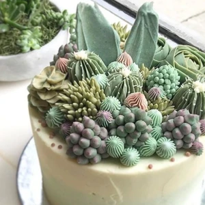 bánh kem hình xương rồng 12