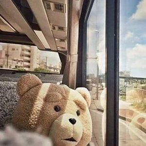 Trào lưu du lịch với thú bông