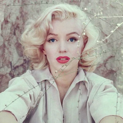 marilyn monroe milton greene ft ngang