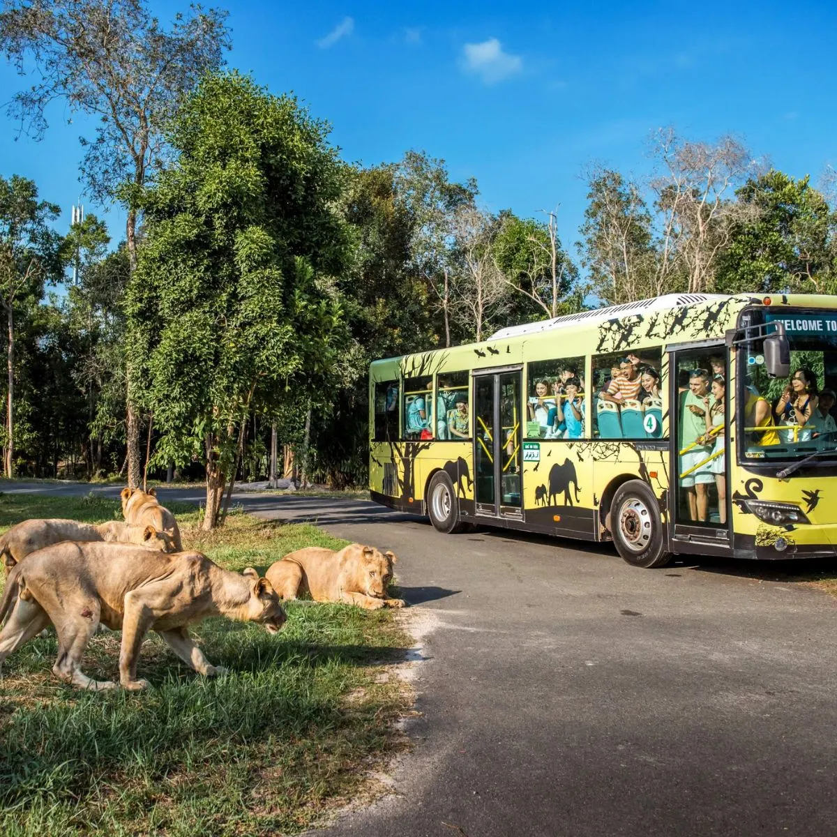 du lịch vinpearl safari