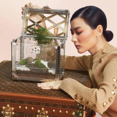 Cô gái MBTI mở hộp kính có chứa cây thủy sinh