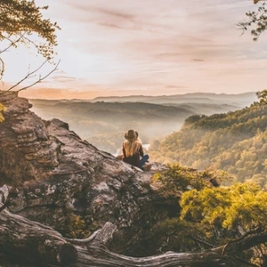 elle việt nam hấp thụ năng lượng 1c