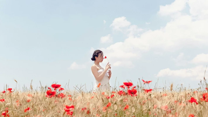 cung hoàng đạo trên cánh đồng hoa đỏ