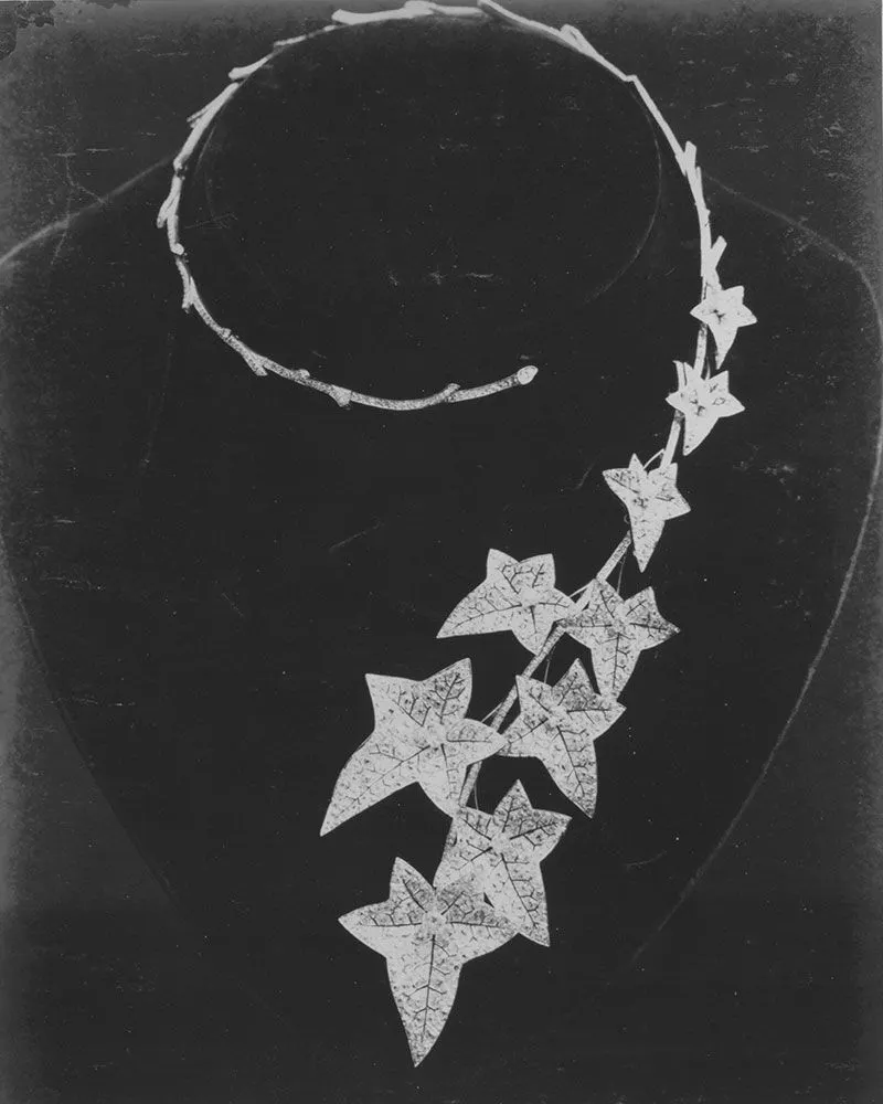 Chân dung chiếc vòng cổ dáng dấu hỏi sản xuất năm 1881 của Boucheron.