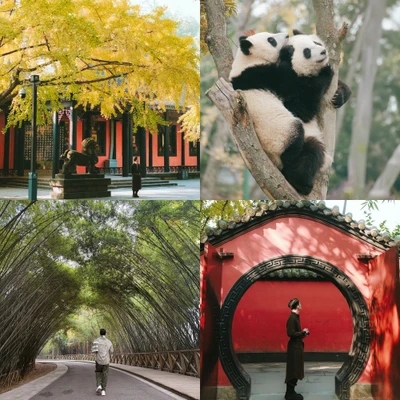 du lịch thành đô tứ xuyên trung quốc