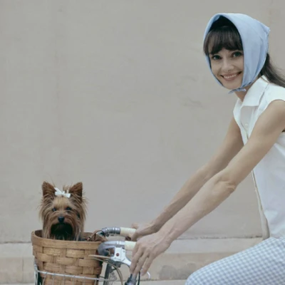 học cách mặc đẹp với khăn bandana từ audrey hepburn